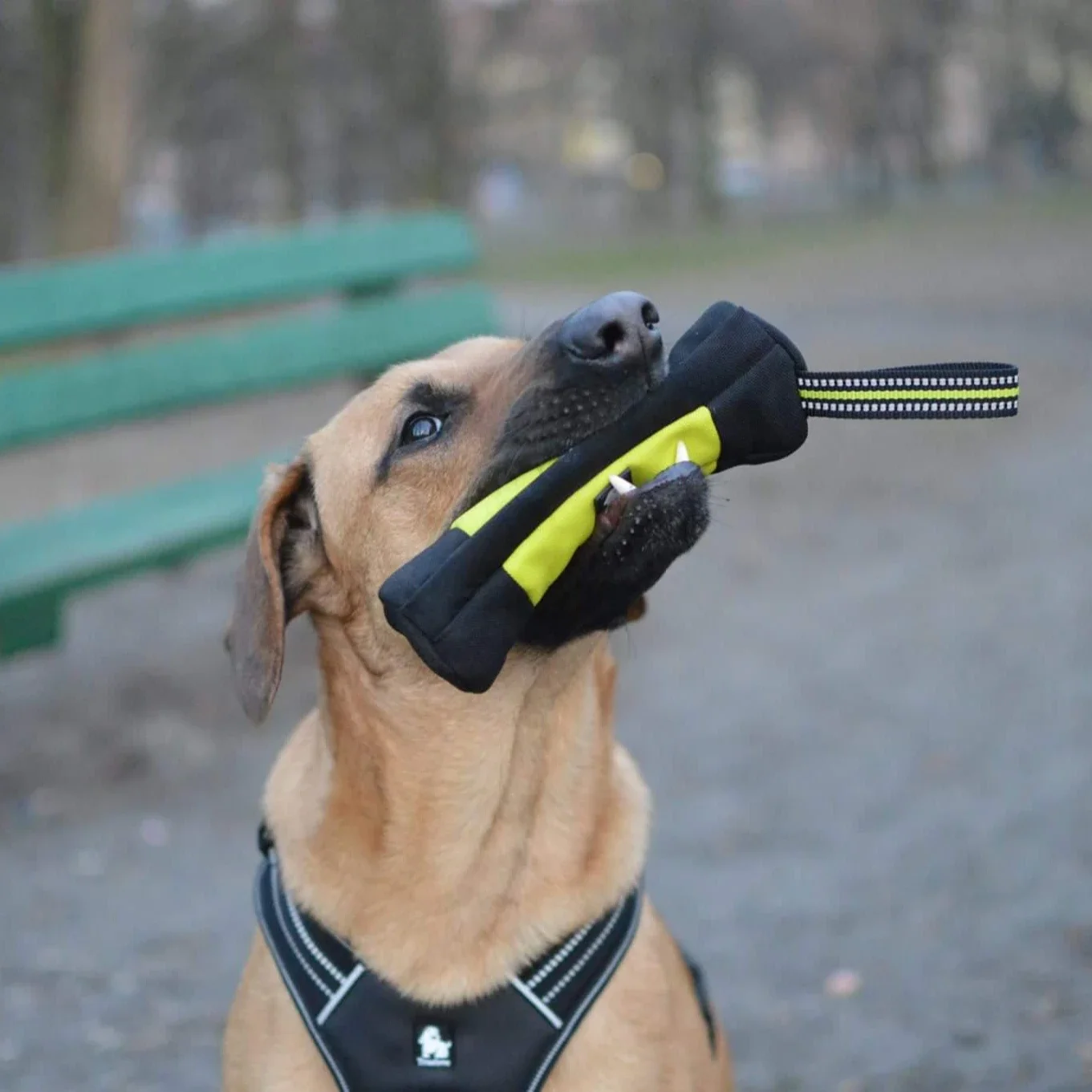 Truelove Hondentraining Retrie - Food Storage Zipper recensie en prijs