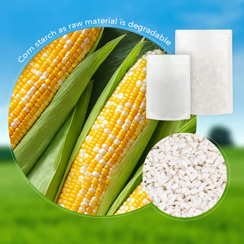 Op maat gemaakte afbreekbare k - Food Storage Plant recensie en prijs