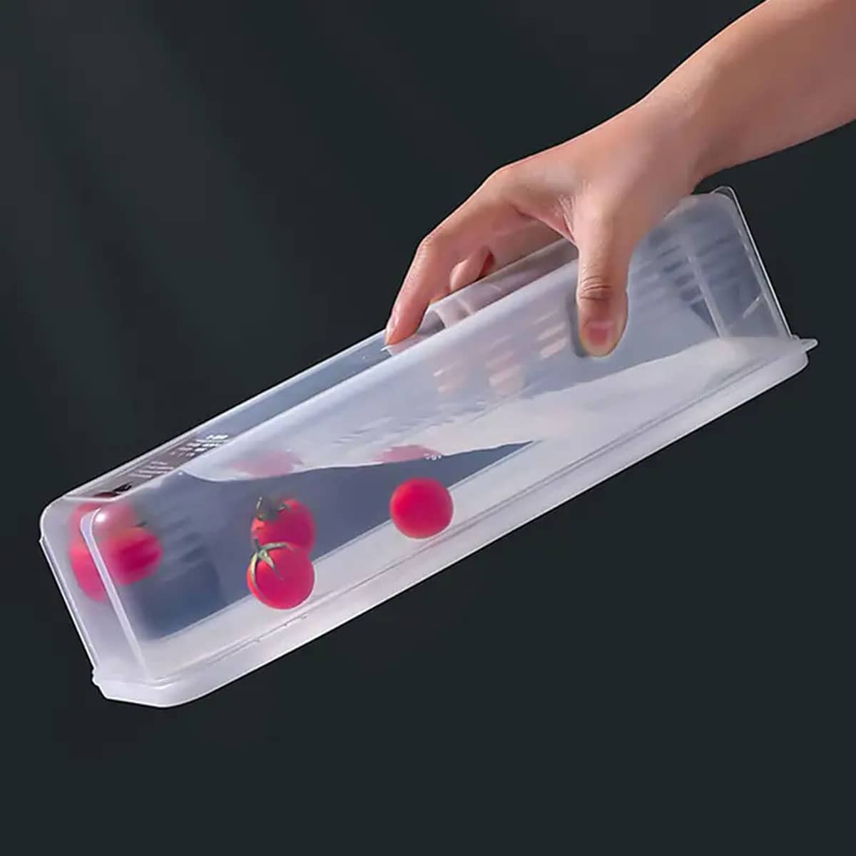 1 plastic transparante opbergd - Food Storage And Preservation recensie en prijs